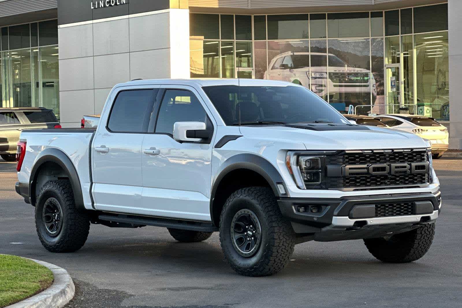 2023 Ford F-150 Raptor 4WD SuperCrew 5.5 Box 10