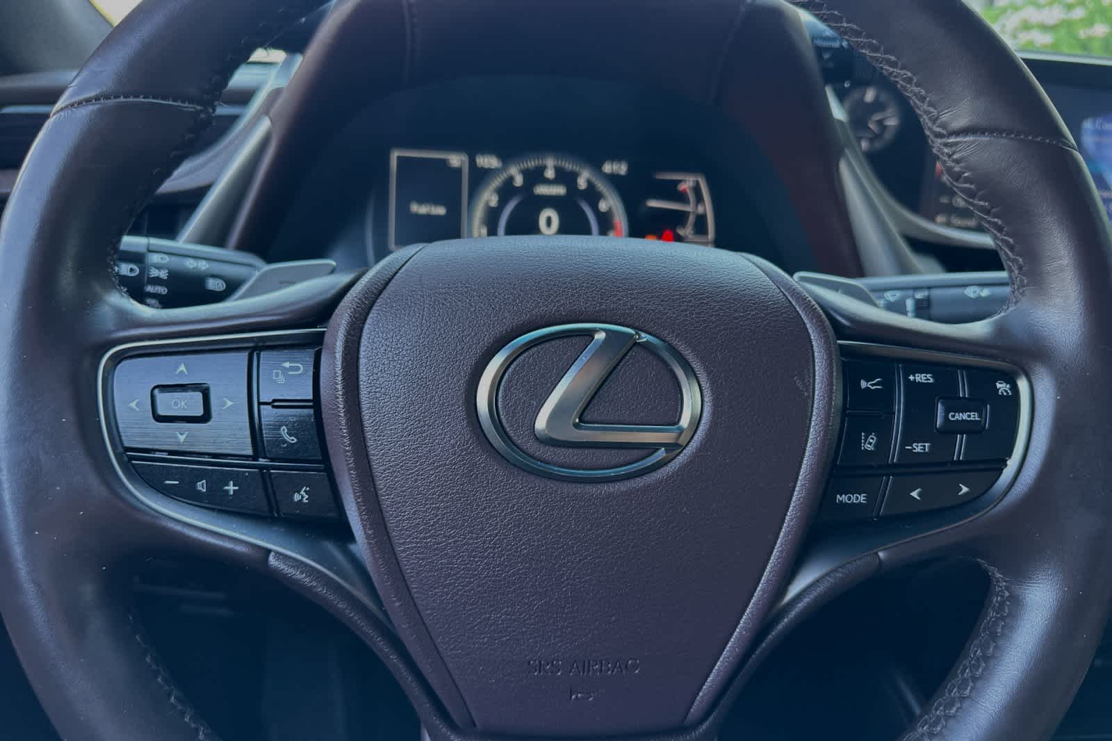 2021 Lexus ES  23