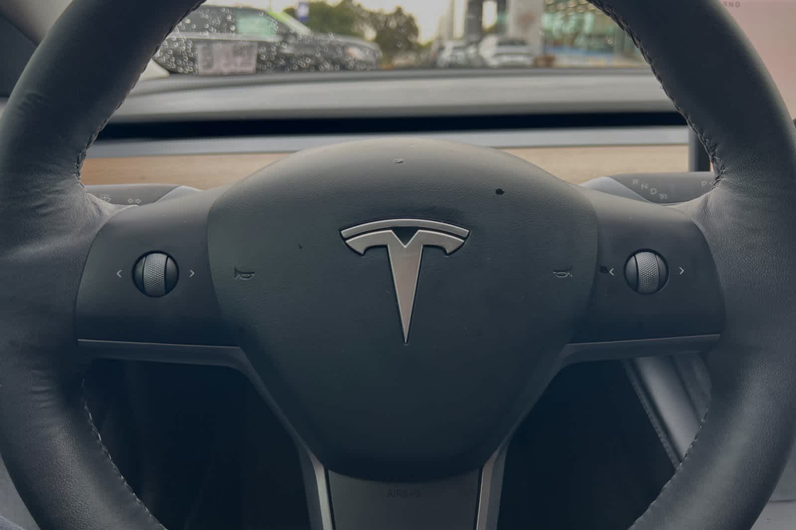 2021 Tesla Model 3 Standard Range Plus 23