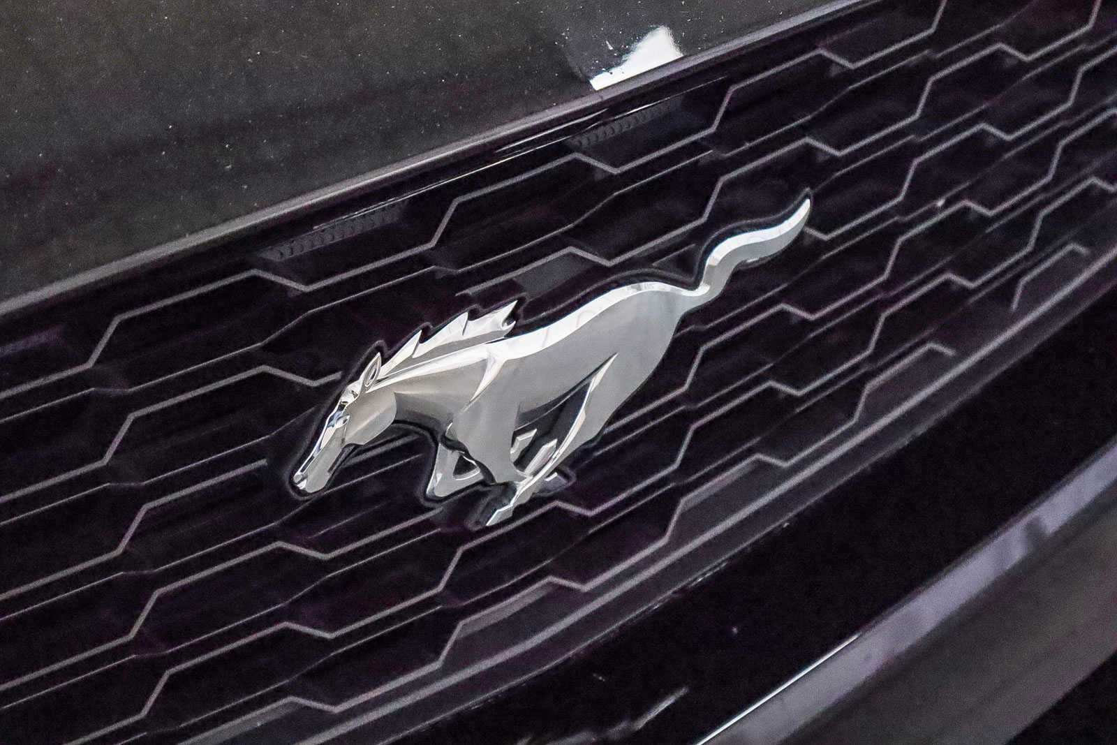 2016 Ford Mustang EcoBoost Premium 8