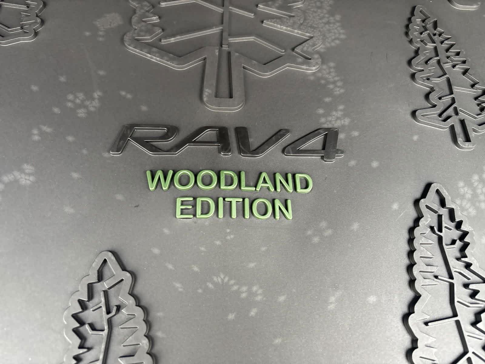 2025 Toyota RAV4 Hybrid Woodland 38