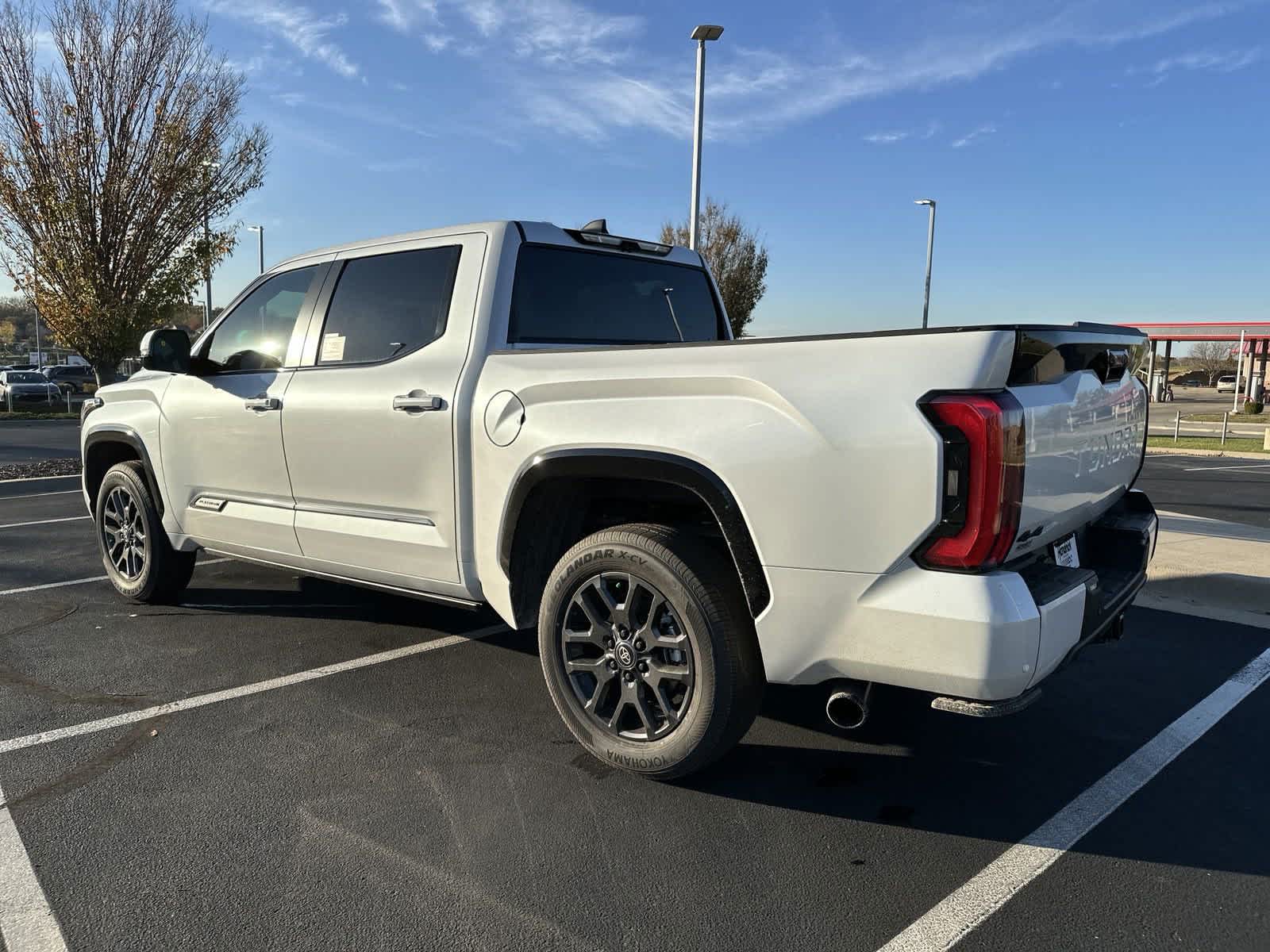 2025 Toyota Tundra PLATINUM 6