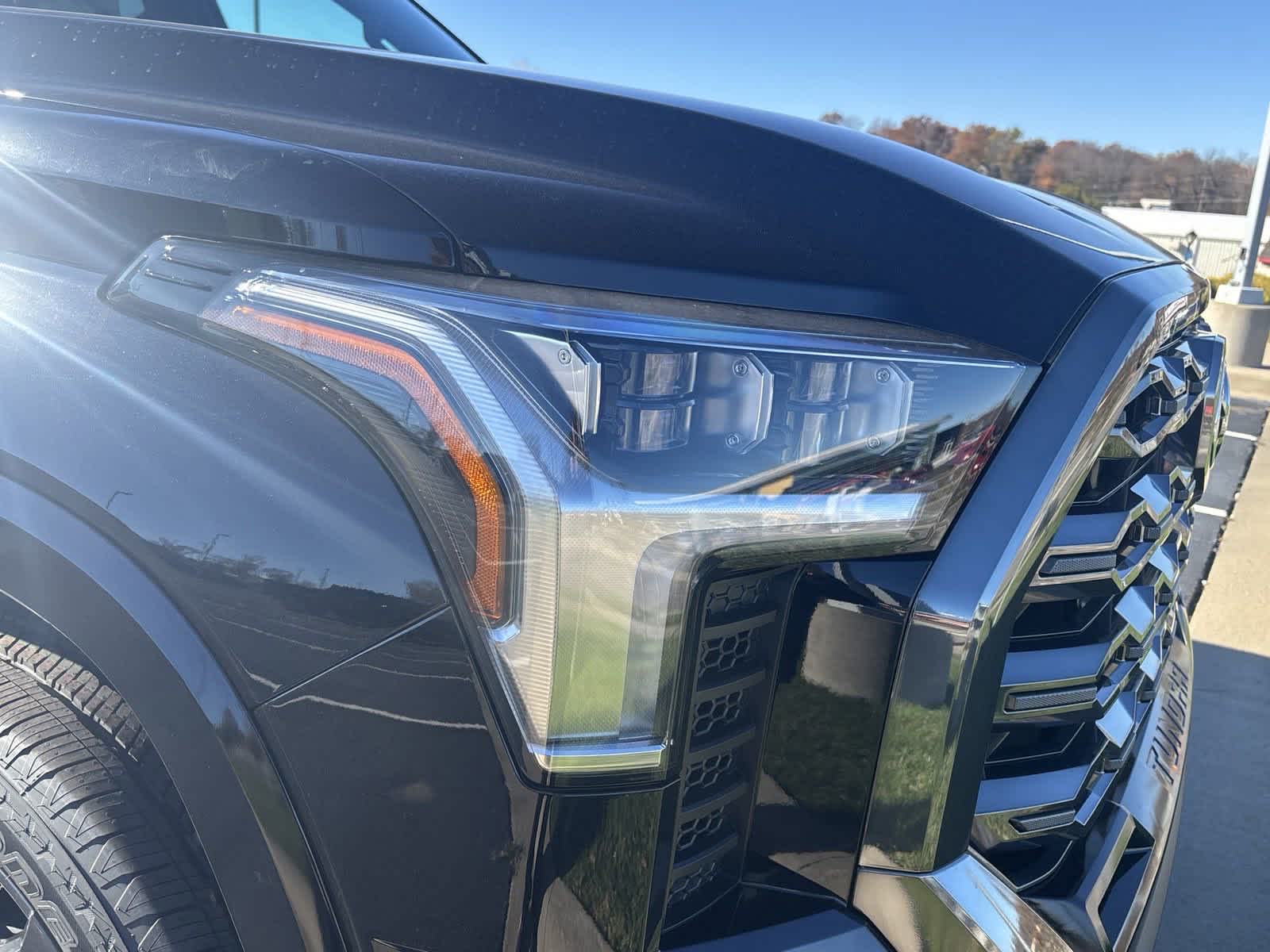 2025 Toyota Tundra PLATINUM 10