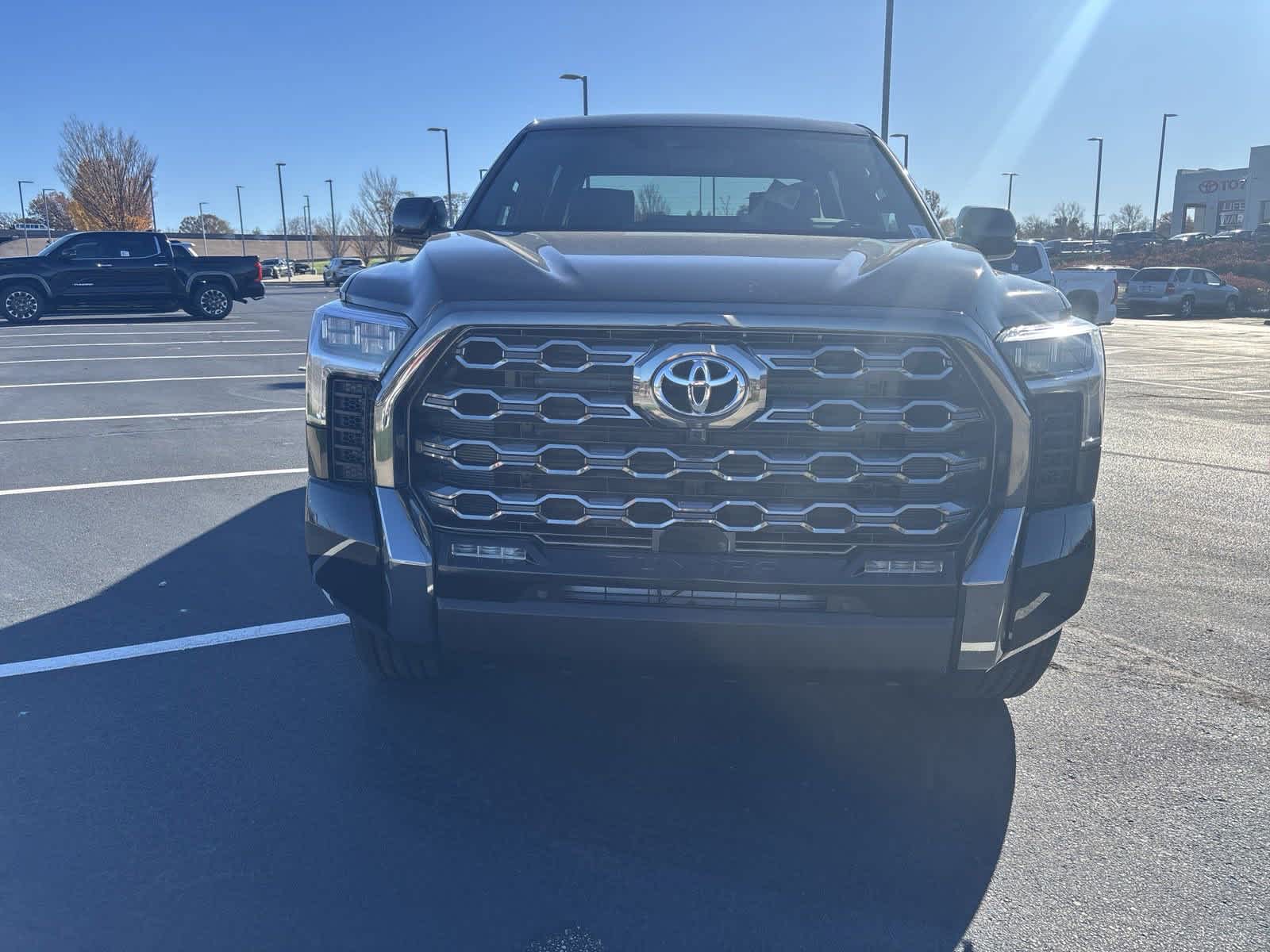 2025 Toyota Tundra PLATINUM 3