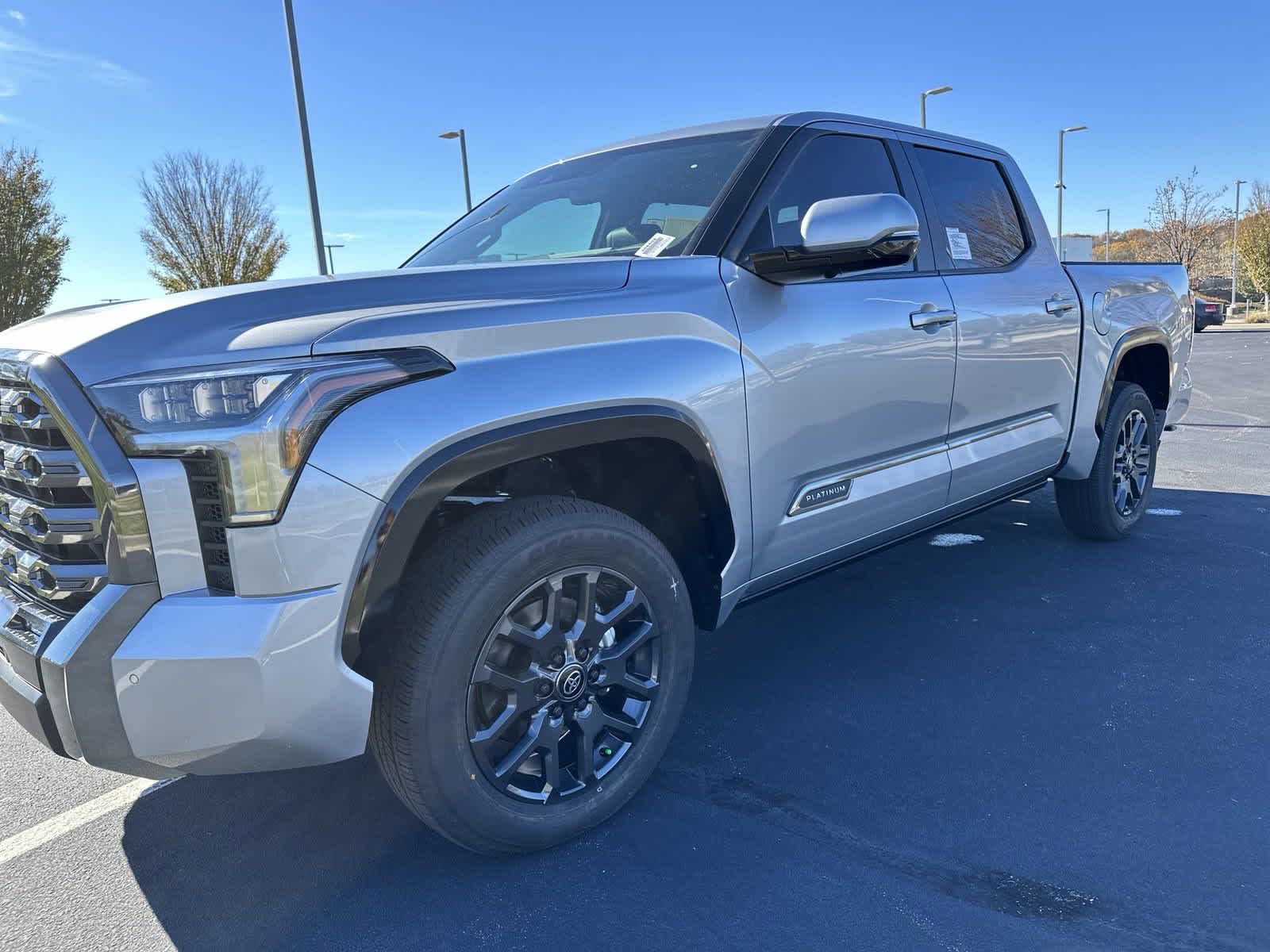 2025 Toyota Tundra PLATINUM 10