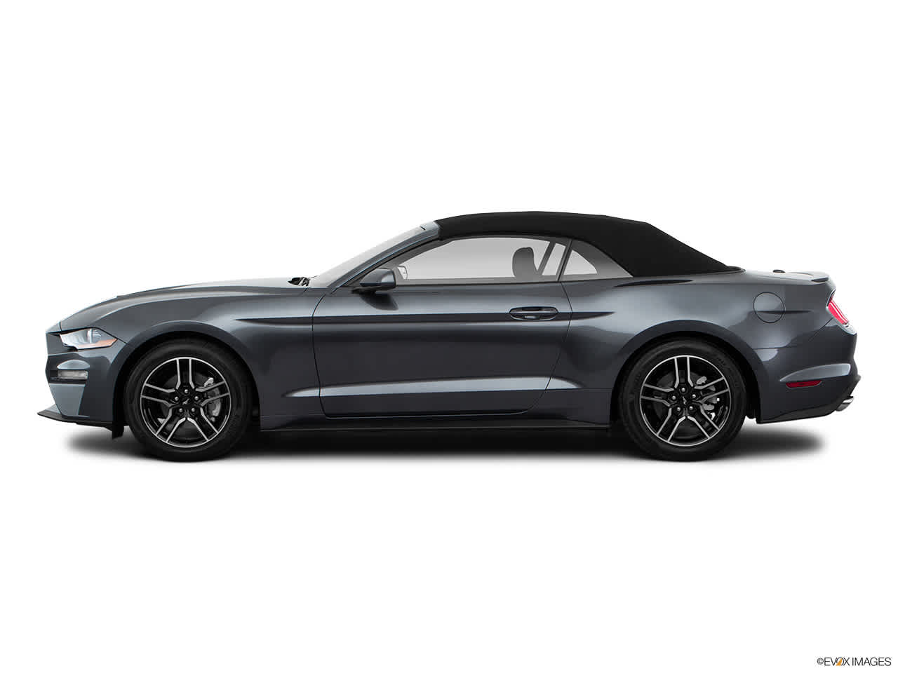 2019 Ford Mustang EcoBoost 24