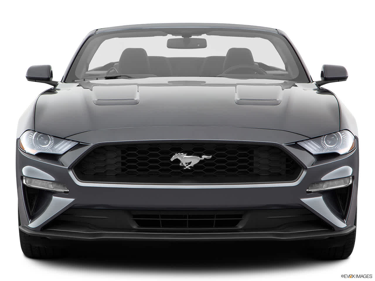 2019 Ford Mustang EcoBoost 7