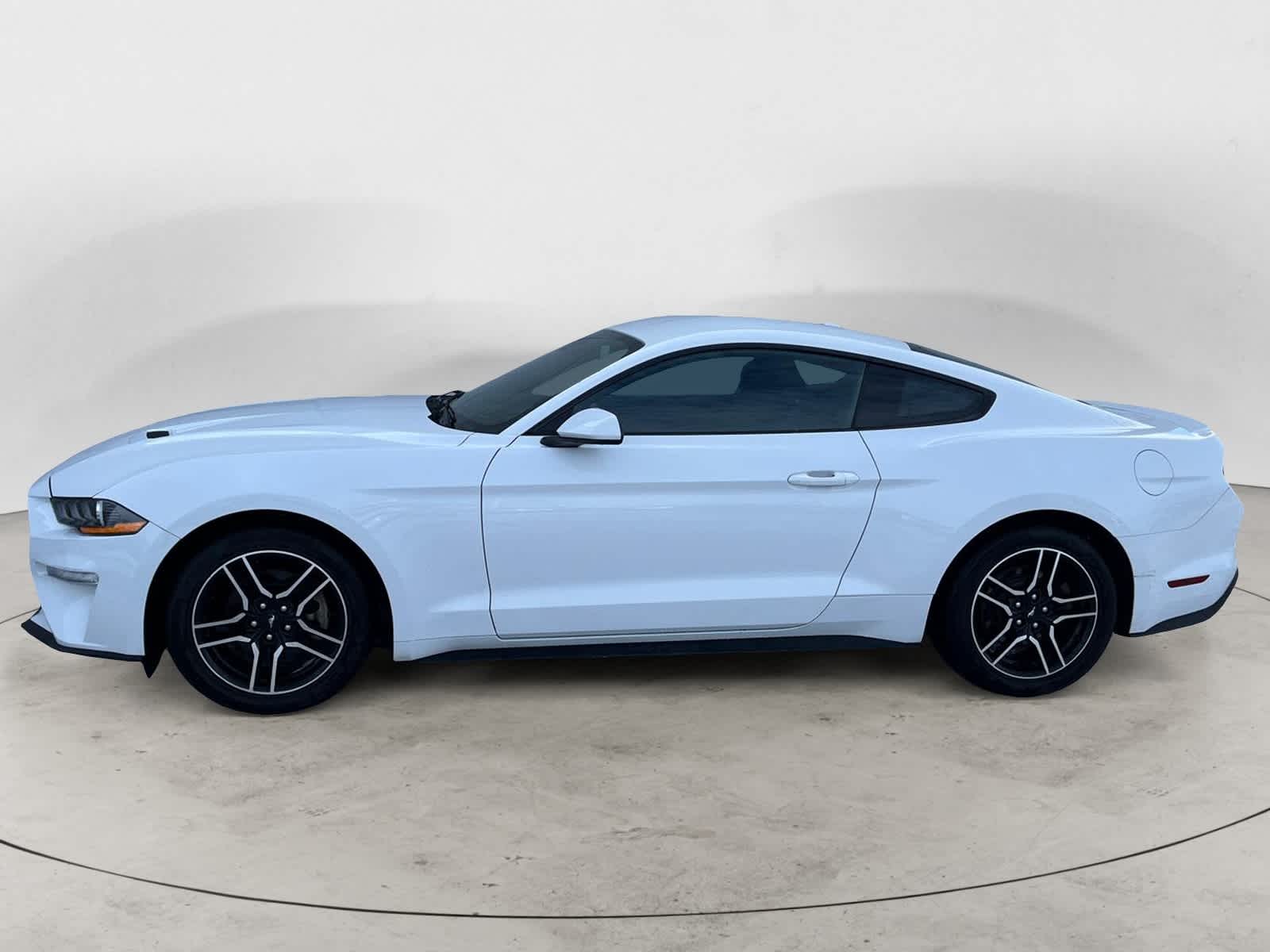 2019 Ford Mustang EcoBoost 3