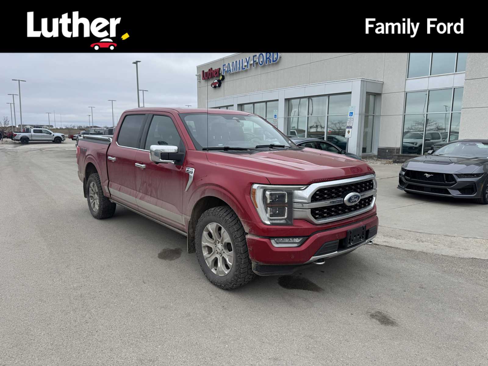 Red 2021 Ford F-150 Platinum SuperCrew 4WD Pickup Truck Four-Wheel Drive Automatic