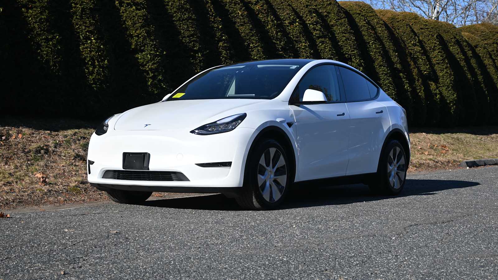 2020 Tesla Model Y Performance's photo