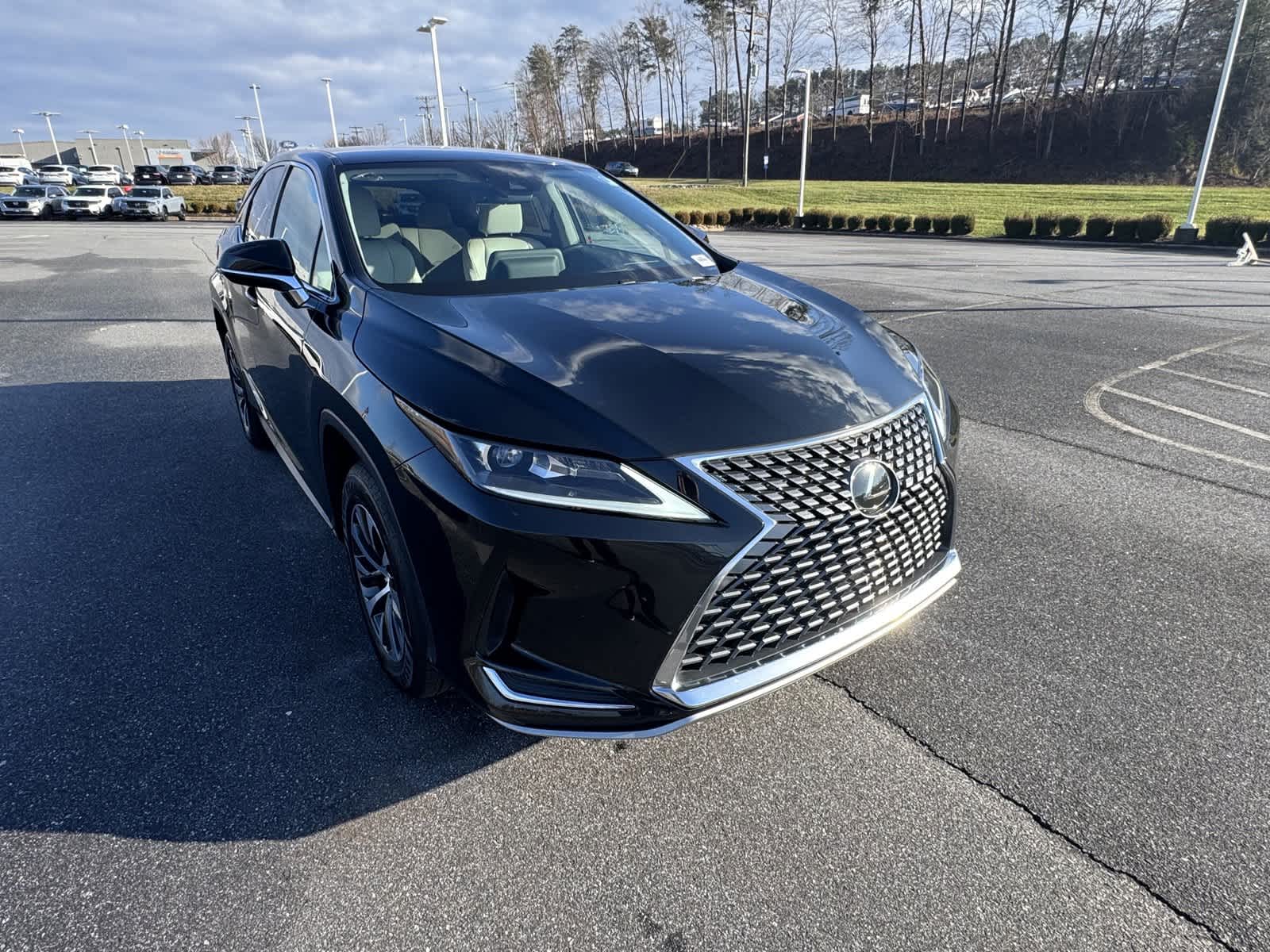 2021 Lexus RX  10