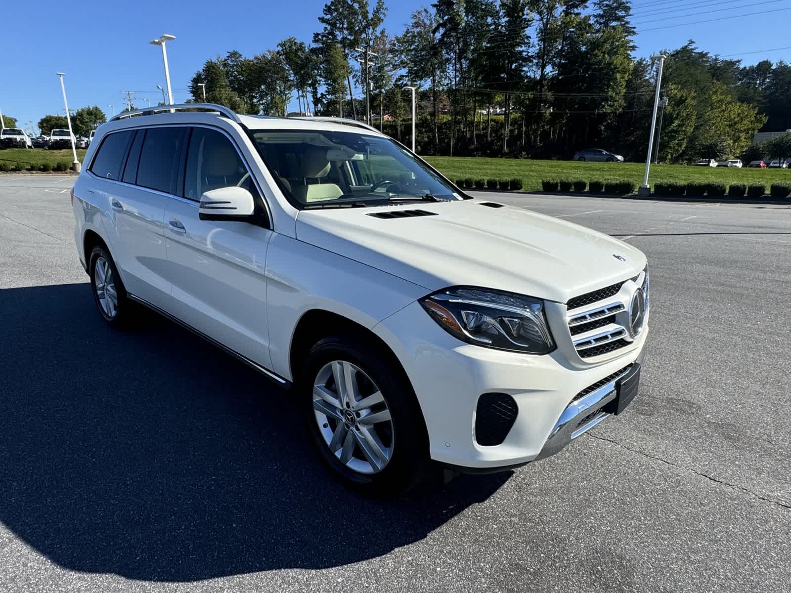 2018 Mercedes-Benz GLS GLS 450 10