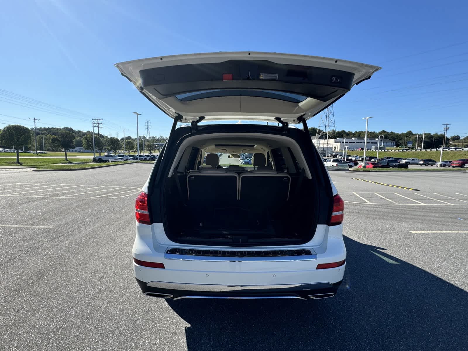 2018 Mercedes-Benz GLS GLS 450 33