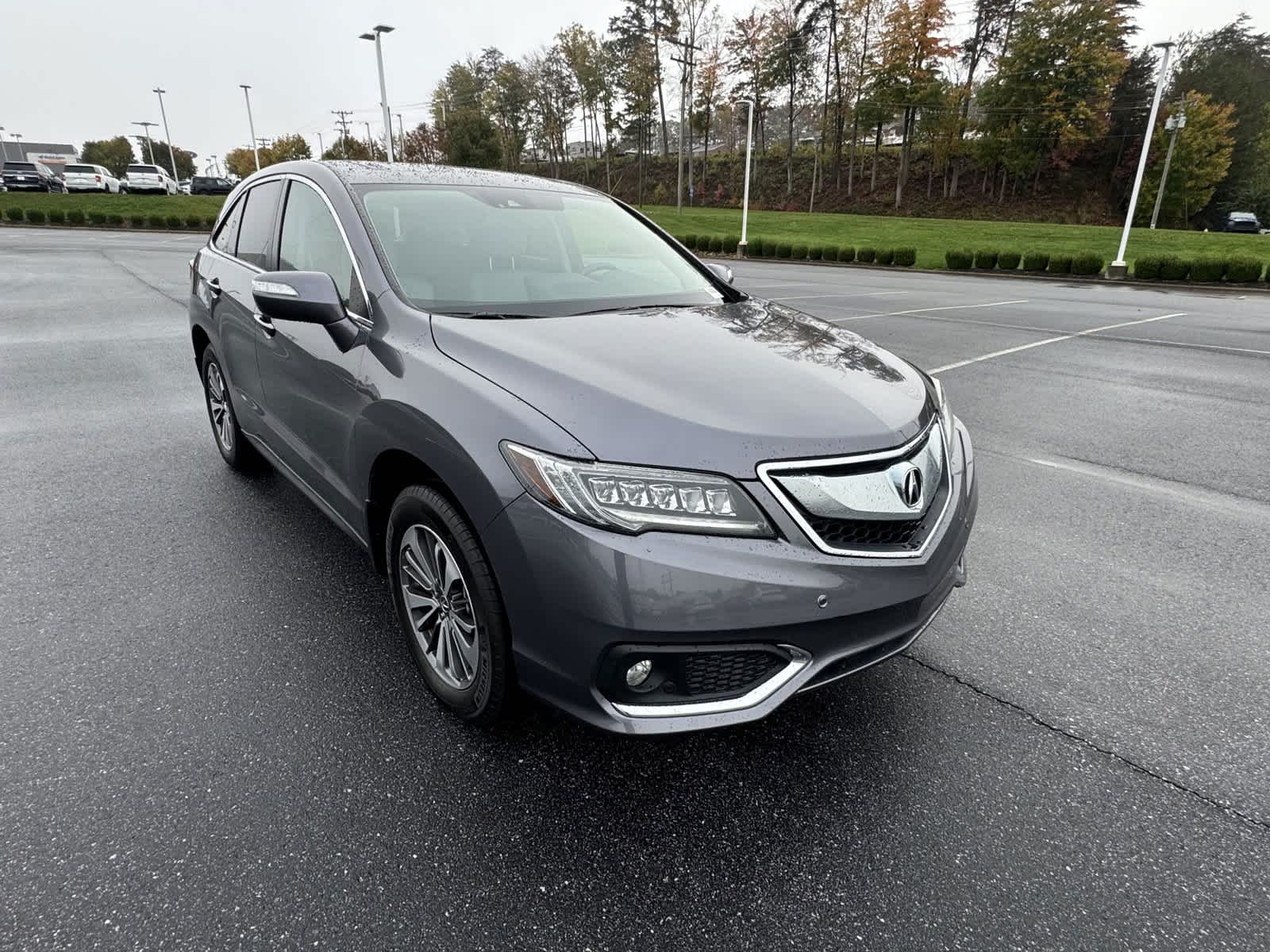 2017 Acura RDX w/Advance Pkg 14