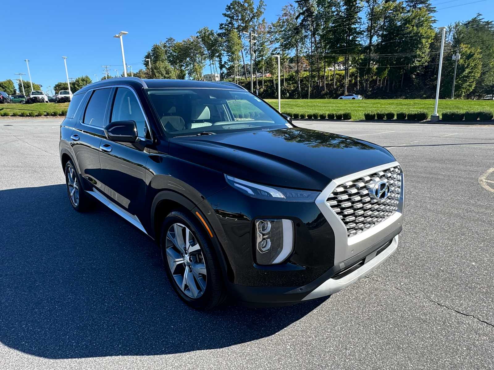 2021 Hyundai Palisade SEL 5