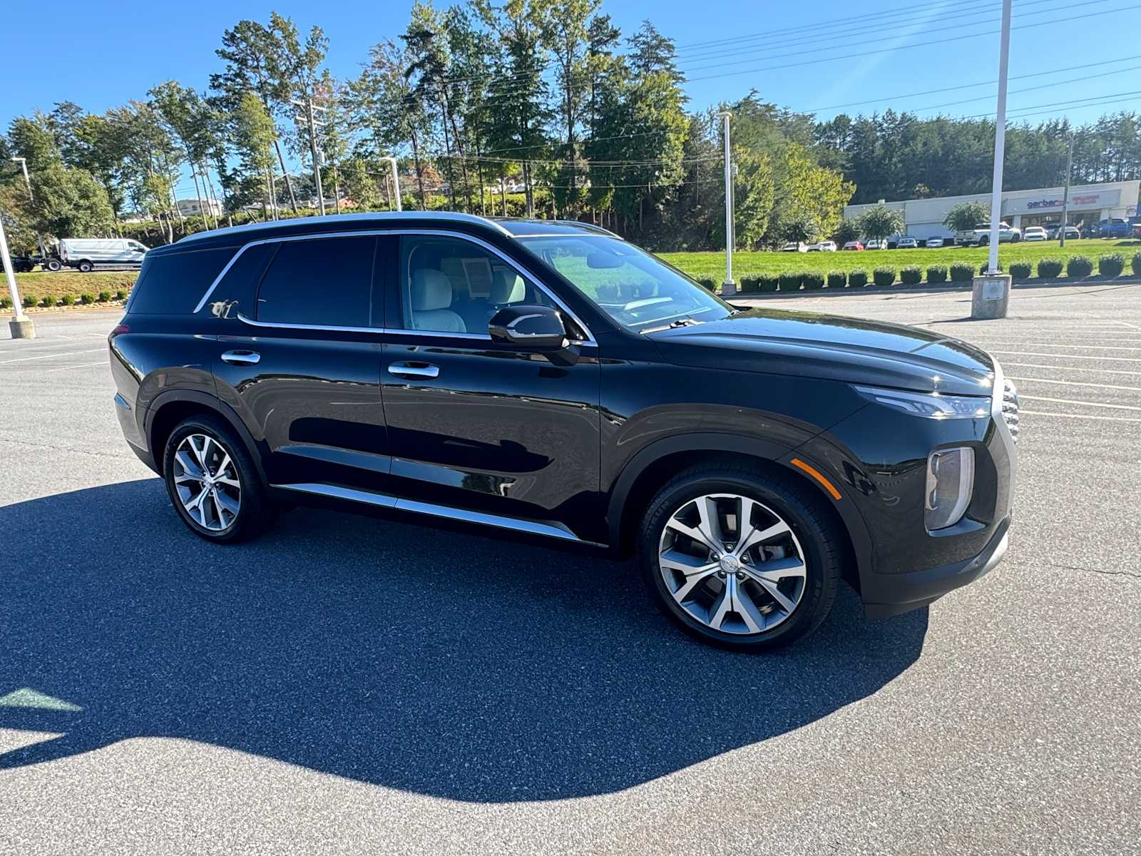 2021 Hyundai Palisade SEL 3