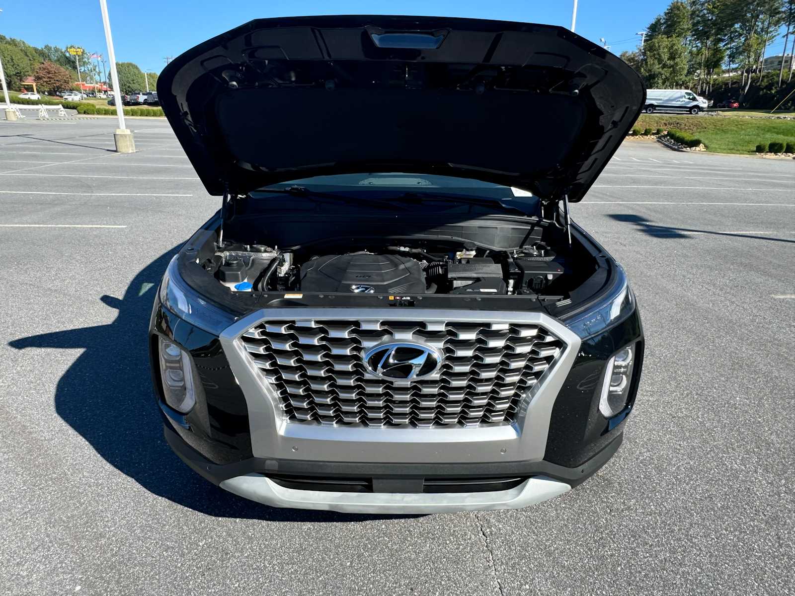 2021 Hyundai Palisade SEL 51