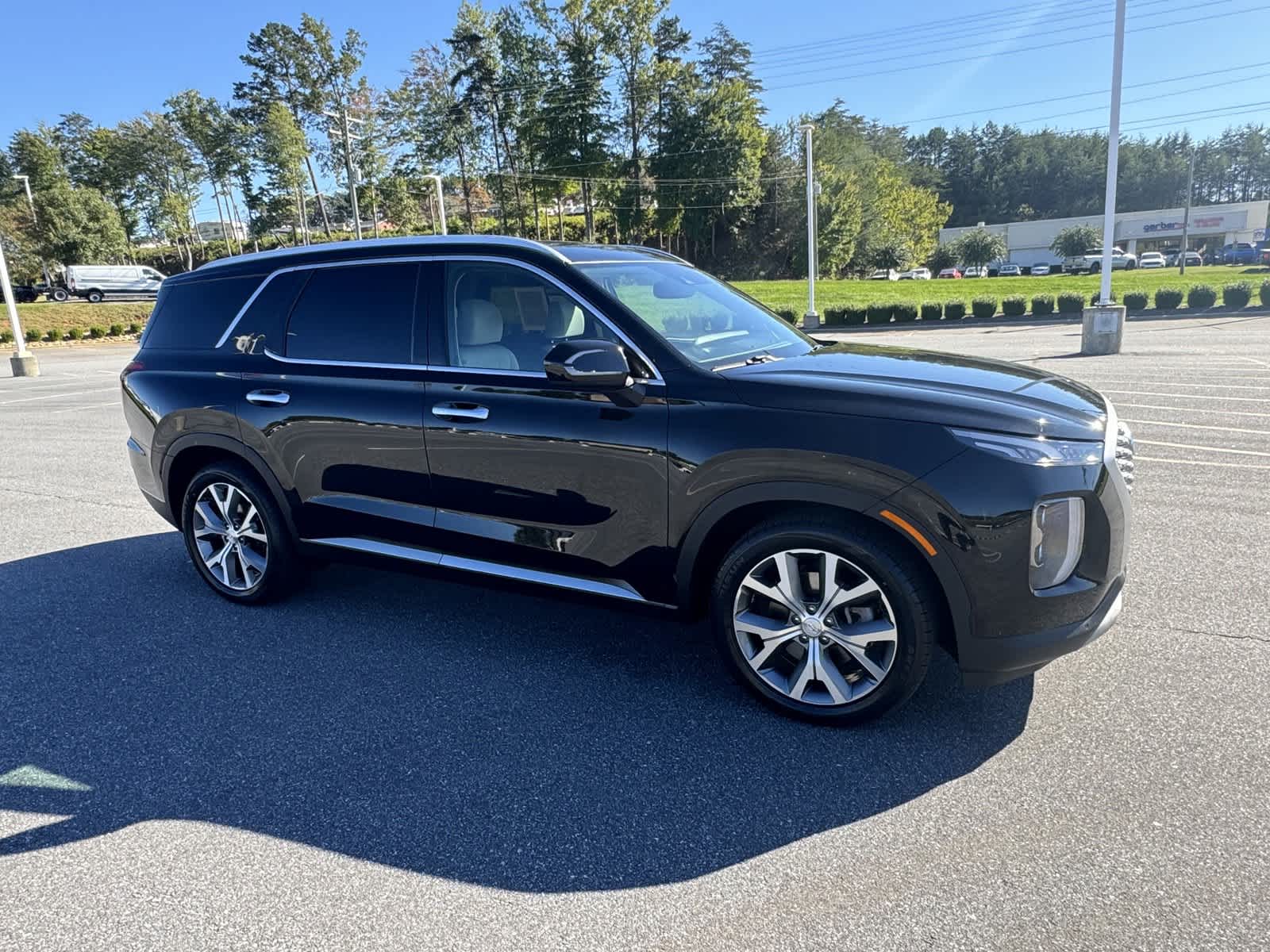 2021 Hyundai Palisade SEL 4