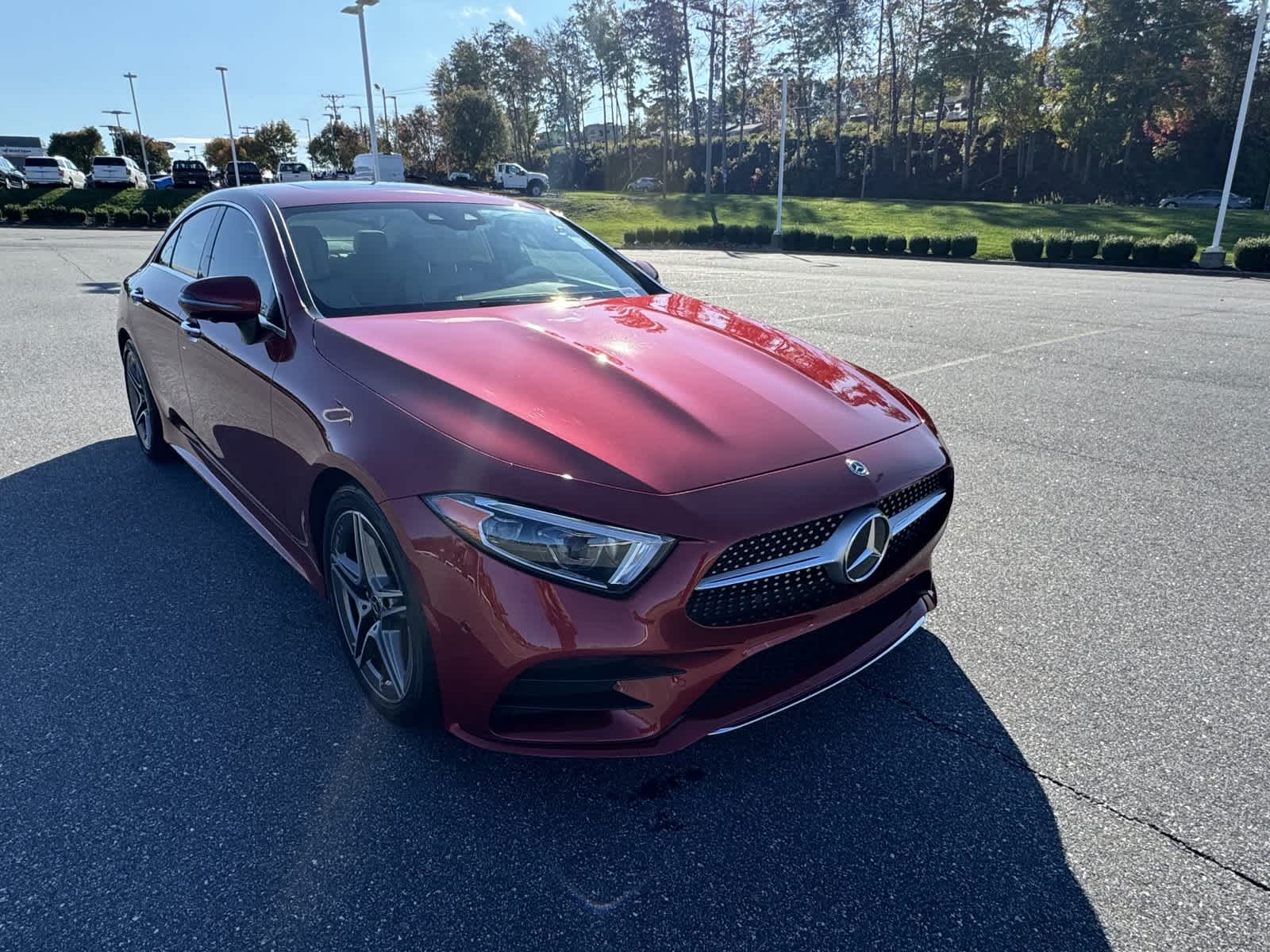 2020 Mercedes-Benz CLS CLS 450 10