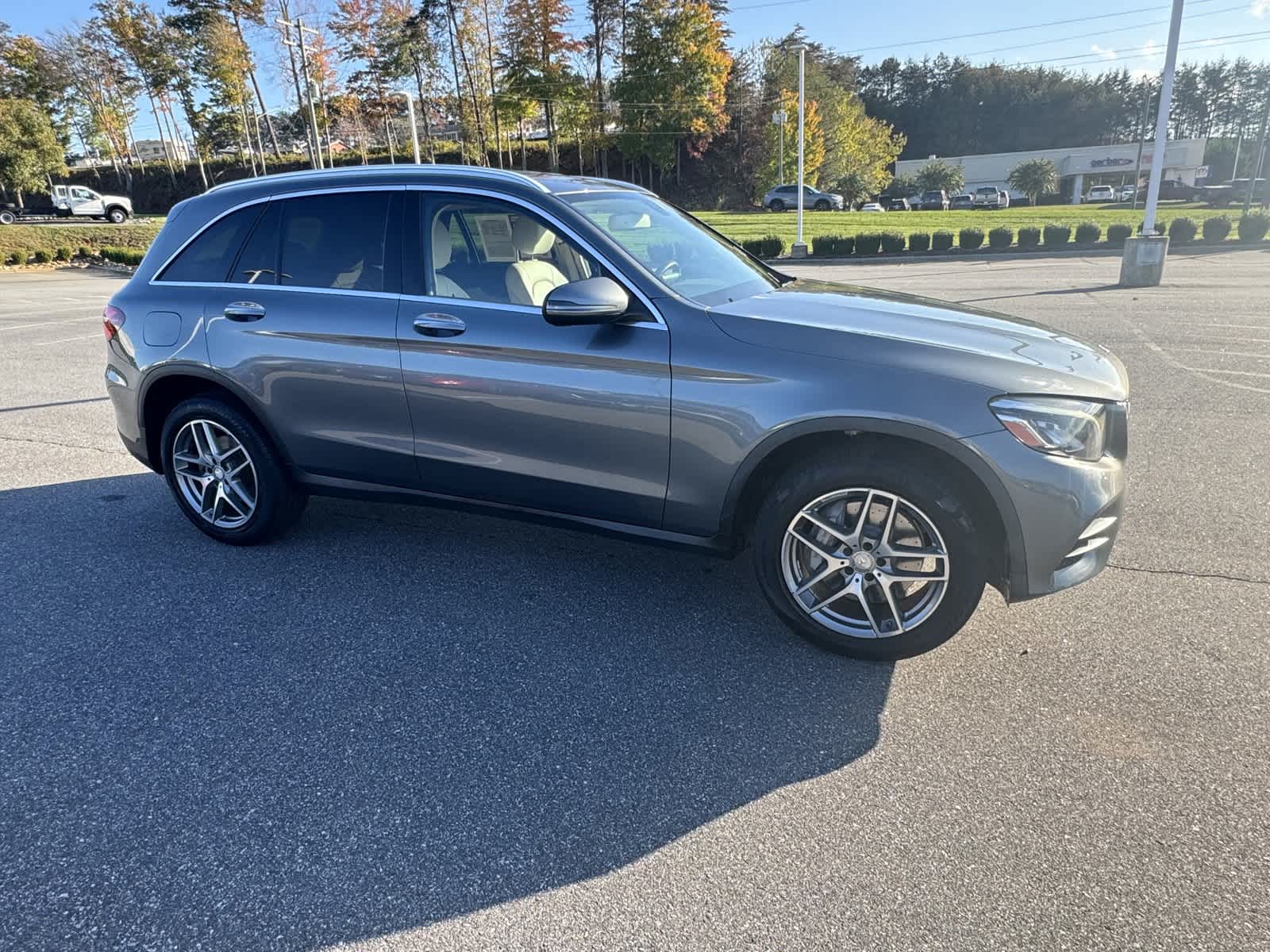 2017 Mercedes-Benz GLC GLC 300 2