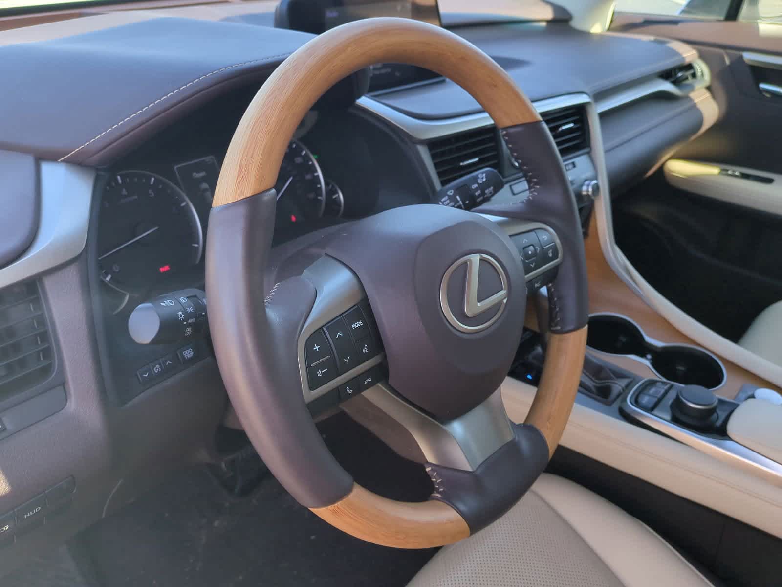 2019 Lexus RX  17