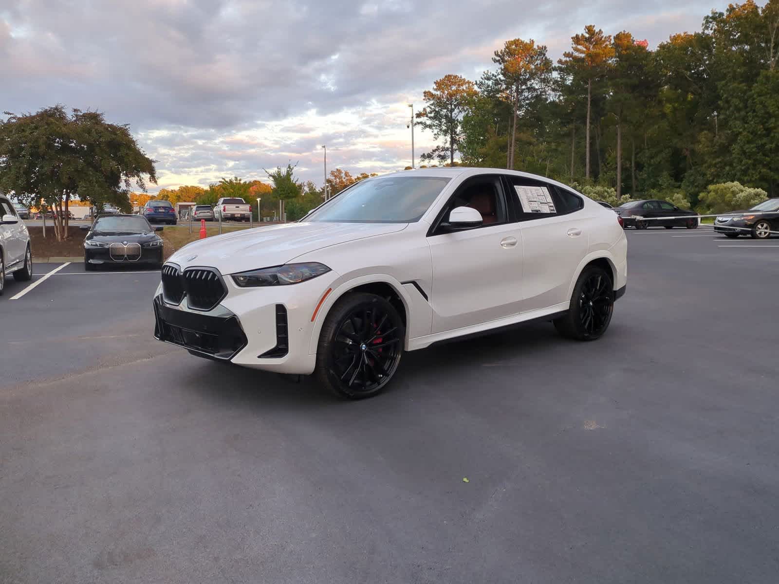 2025 BMW X6 xDrive40i 4