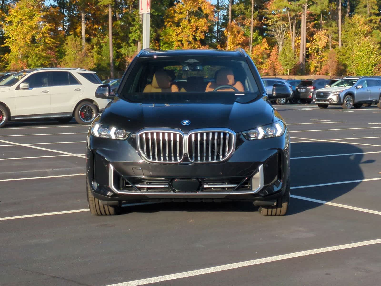 2025 BMW X5 xDrive50e 3