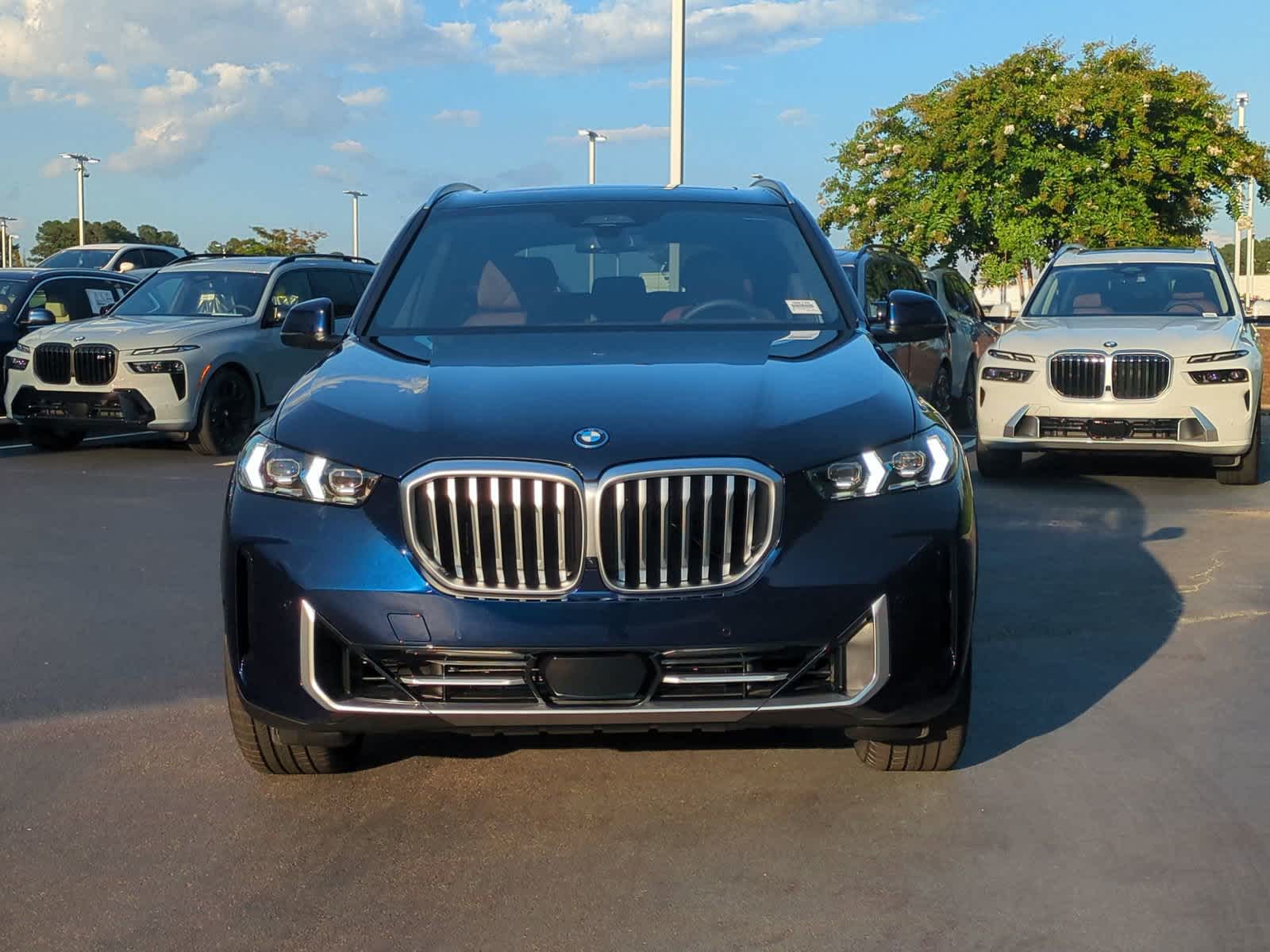 2025 BMW X5 xDrive50e 3