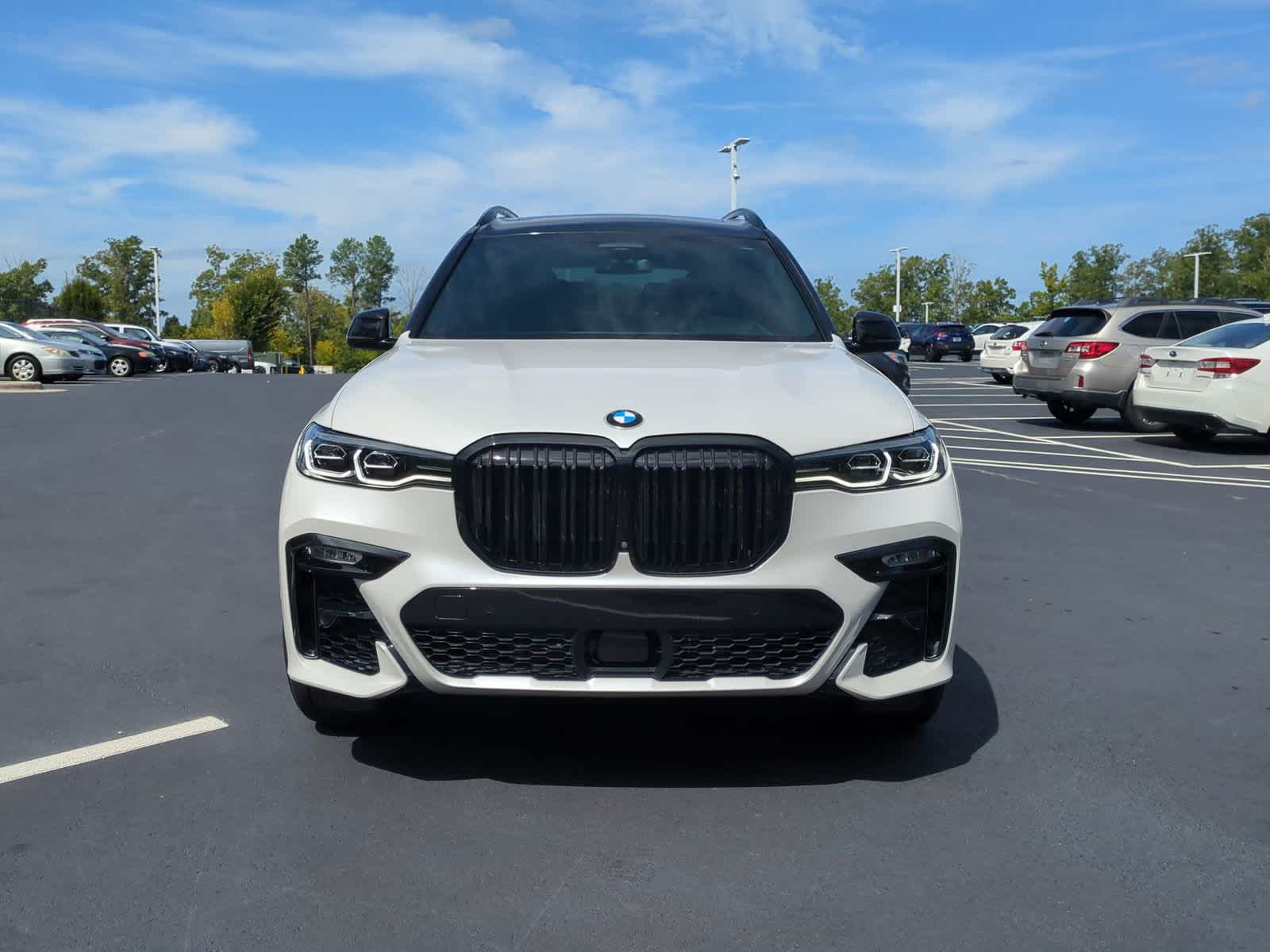 2019 BMW X7 xDrive40i 3