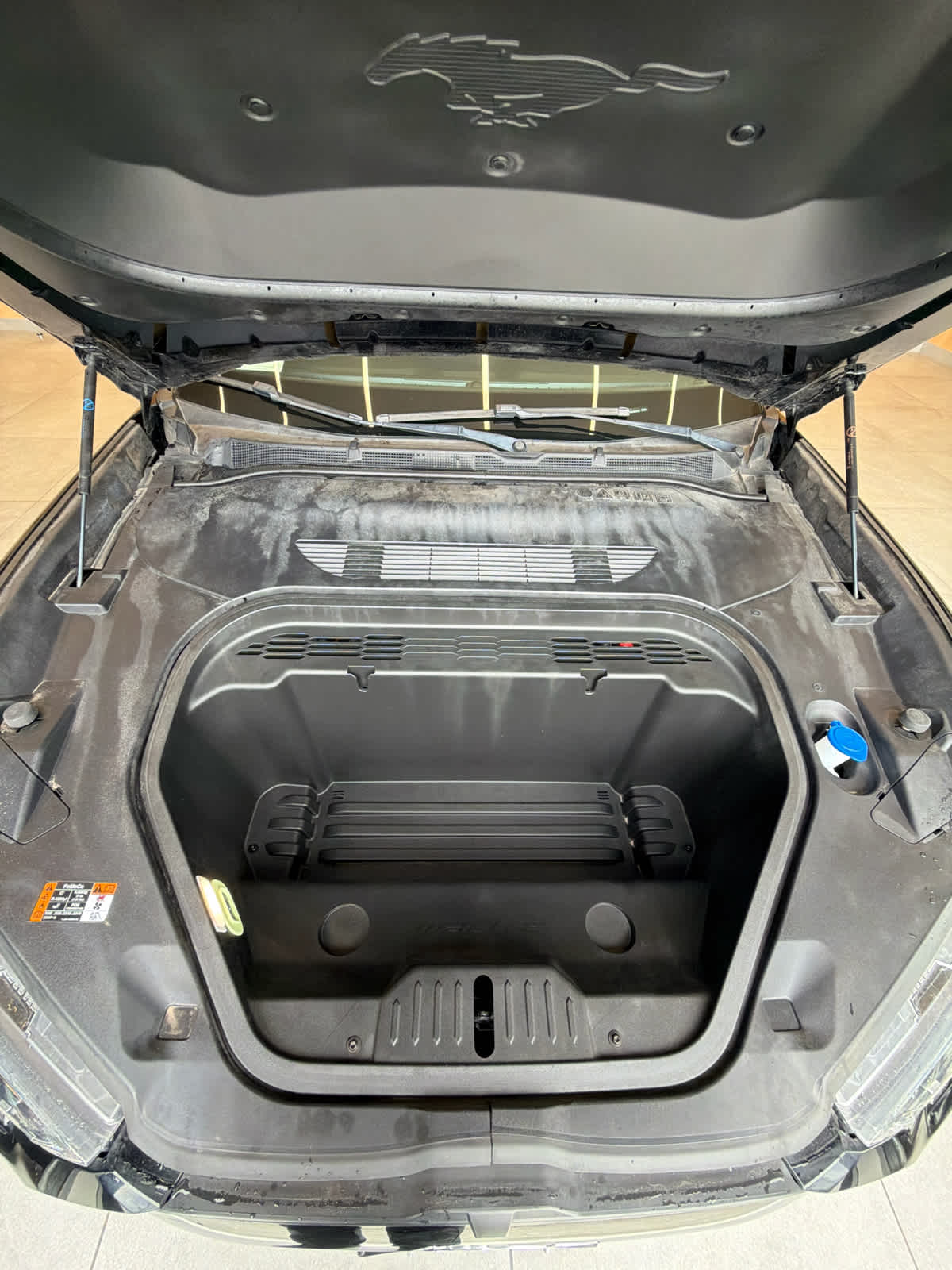 2023 Ford Mustang Mach-E photo 11 of 32