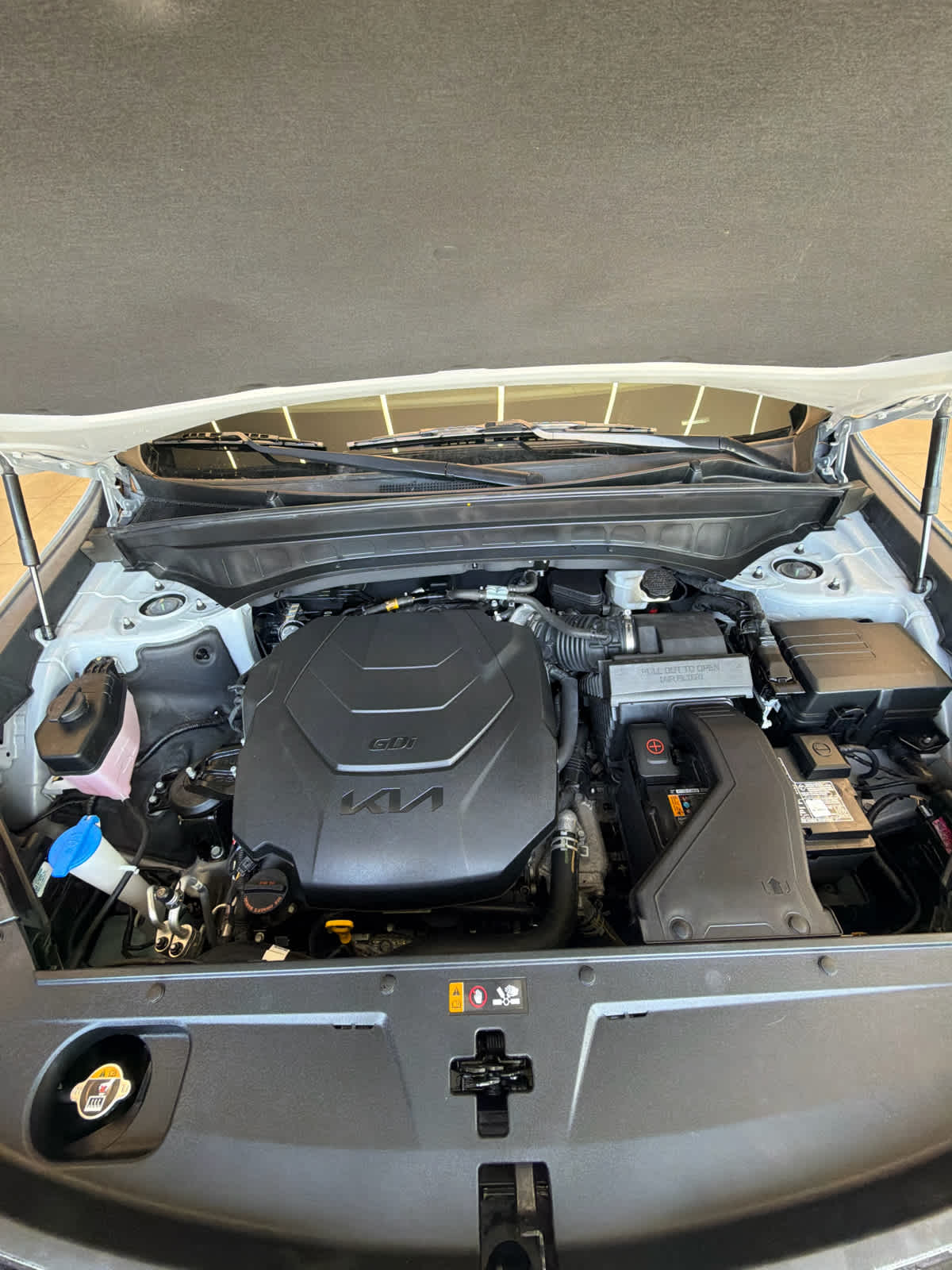 2024 Kia Telluride photo 10 of 45