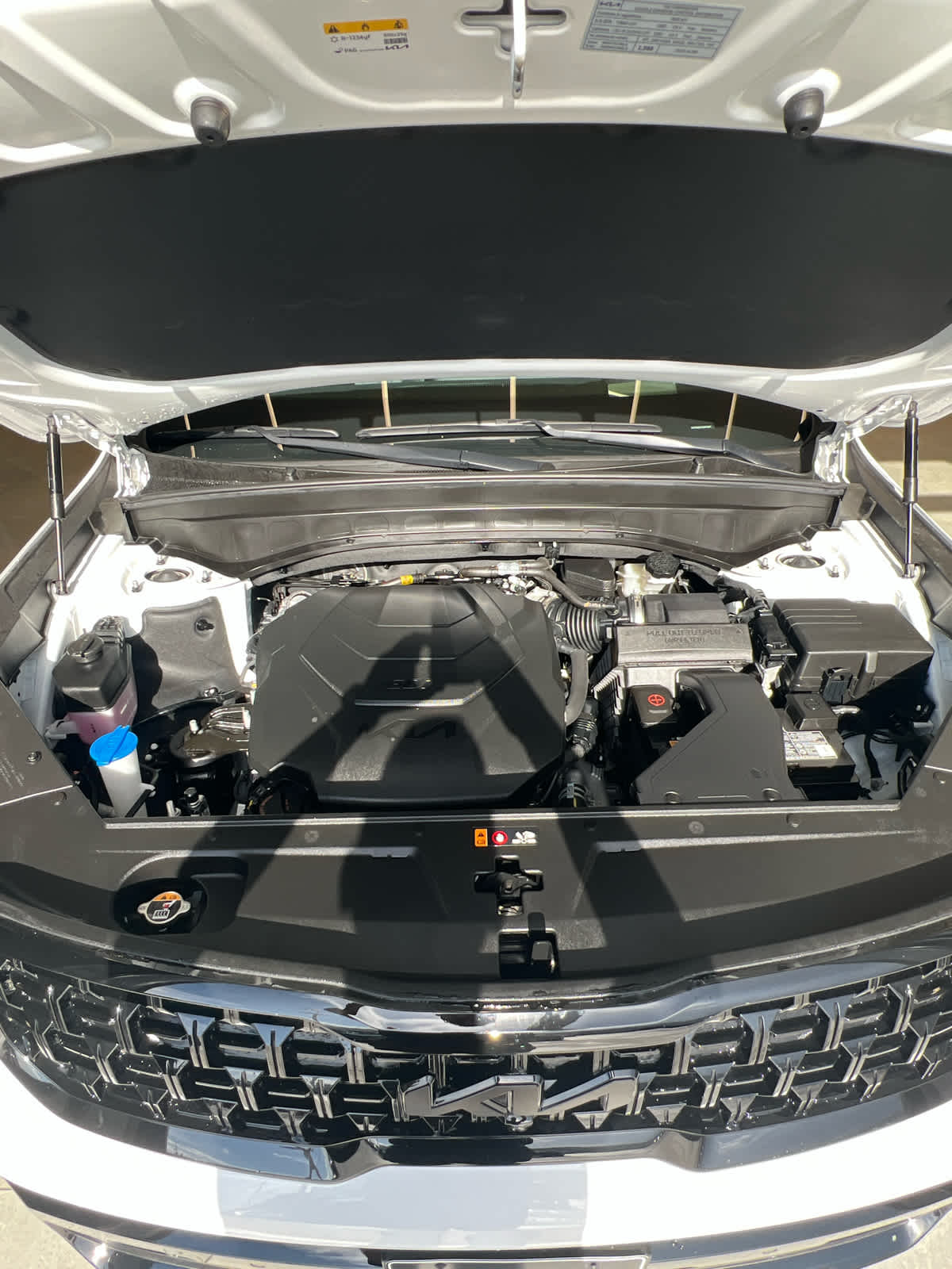 2025 Kia Telluride SX-Prestige X-Line - 9