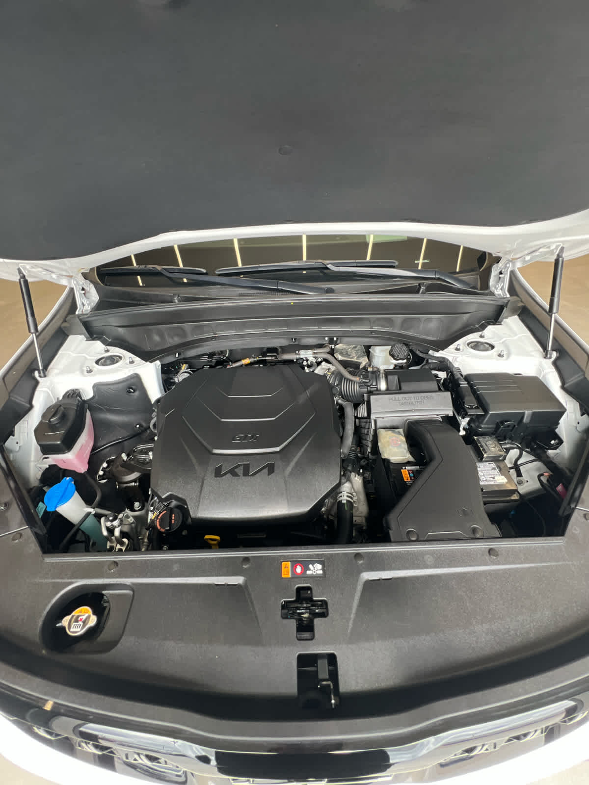2024 Kia Telluride SX Prestige X-Line - 10