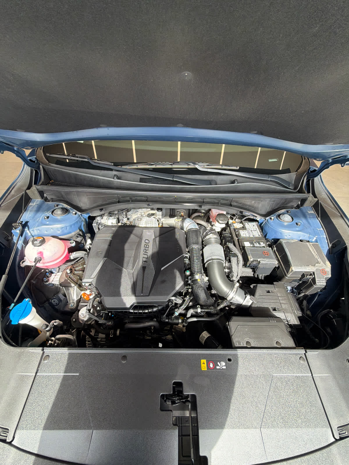 2024 Kia Sorento X-Line SX Prestige - 10