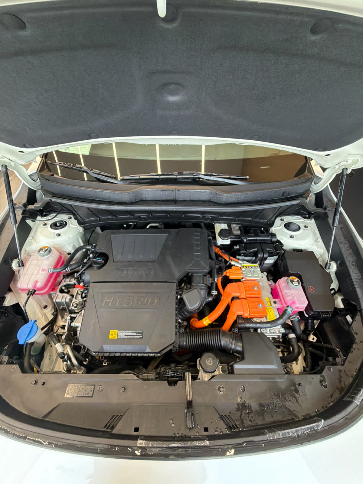 2023 Kia Niro photo 11 of 32