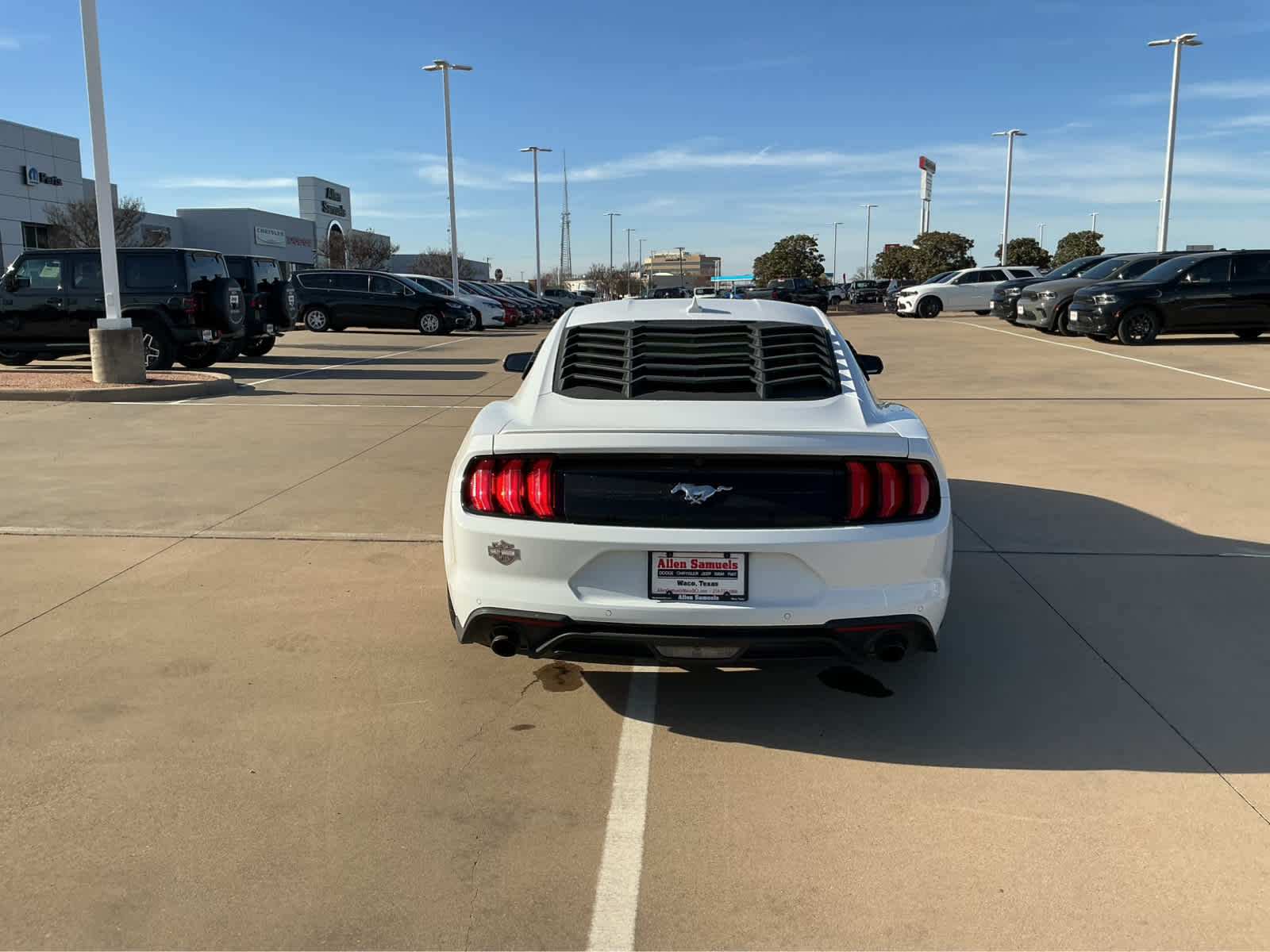Used Car 2023 Ford Mustang  Ecoboost Premium For Sale Under $35,000 In Waco, Texas