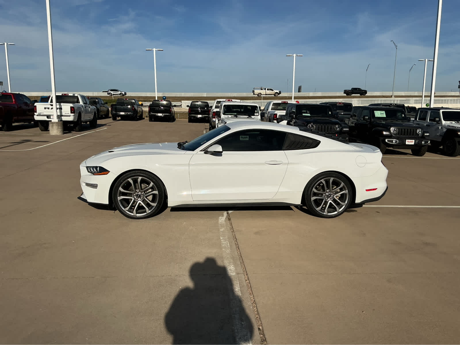 Used Car 2023 Ford Mustang  Ecoboost Premium For Sale Under $35,000 In Waco, Texas