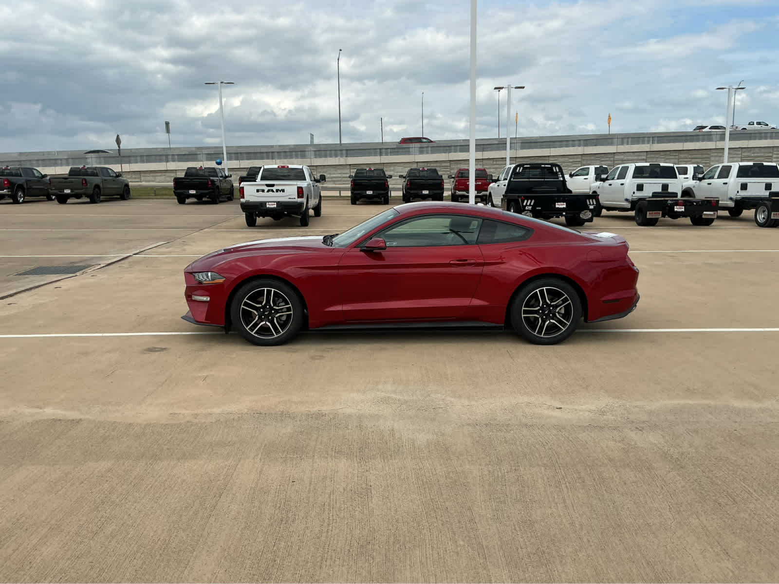 Used Car 2020 Ford Mustang  Ecoboost Premium For Sale Under $25,000 In Waco, Texas