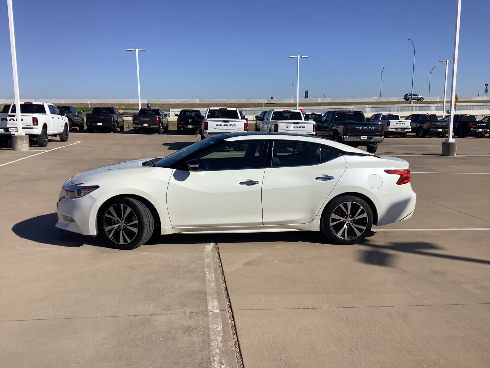 Used Car 2018 Nissan Maxima  Platinum For Sale Under $25,000 In Waco, Texas