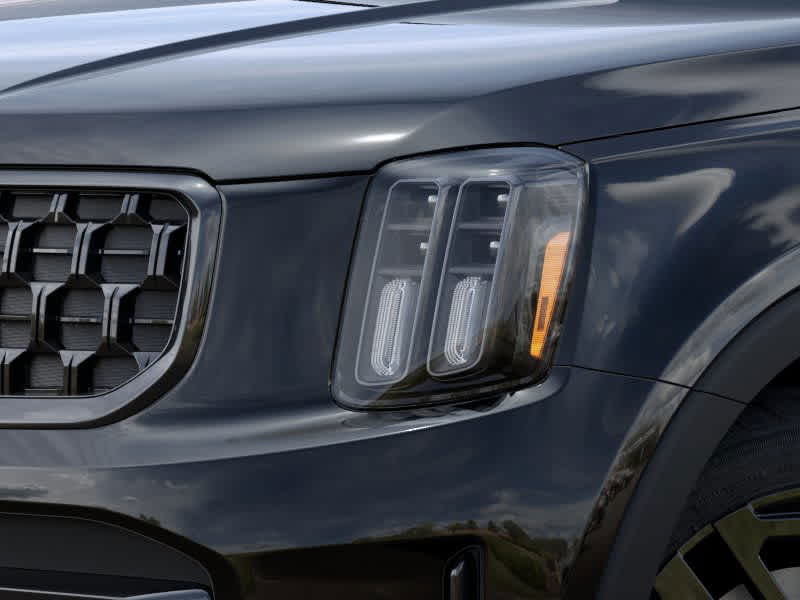 2025 Kia Telluride EX 10