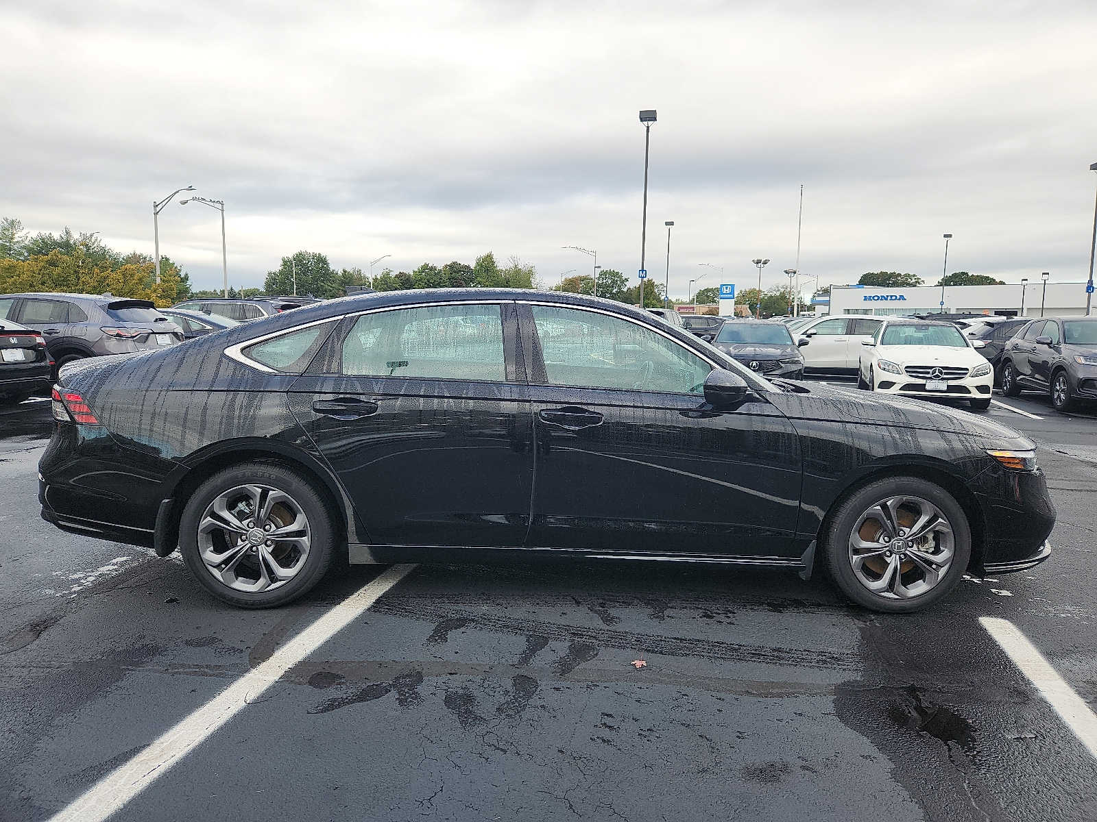 Used 2024 Honda Accord Hybrid Sedan