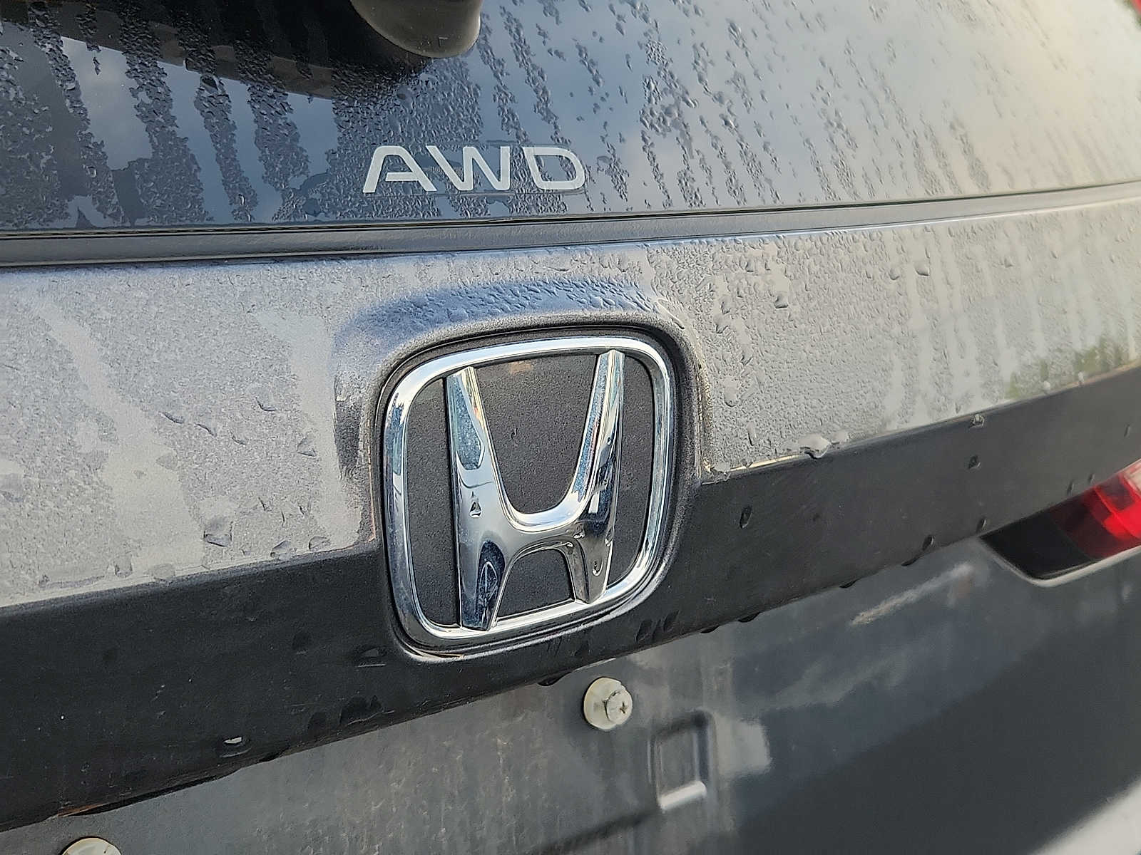 Used 2024 Honda CR-V SUV