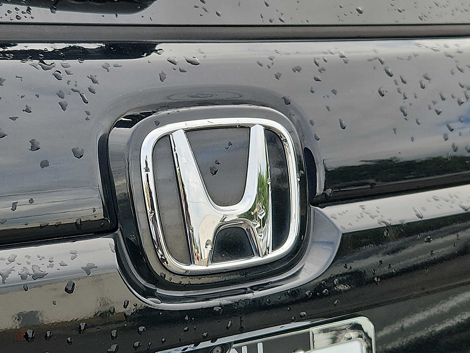 2023 Honda Passport Elite - Photo 28
