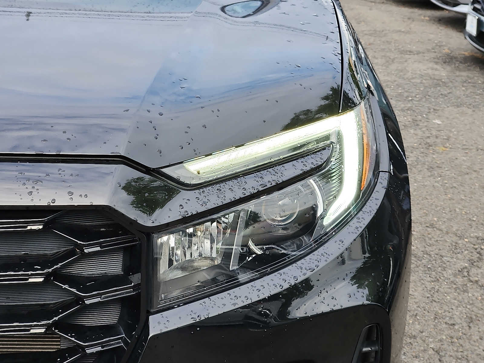 2023 Honda Passport Elite - Photo 9