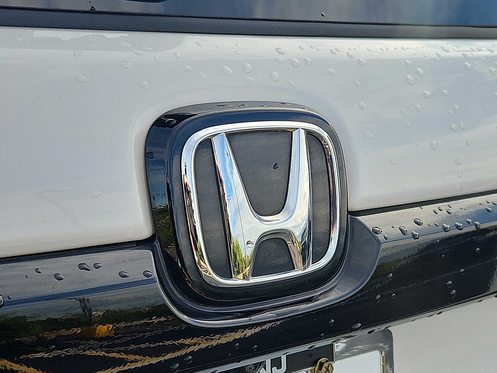 Used 2024 Honda Passport SUV