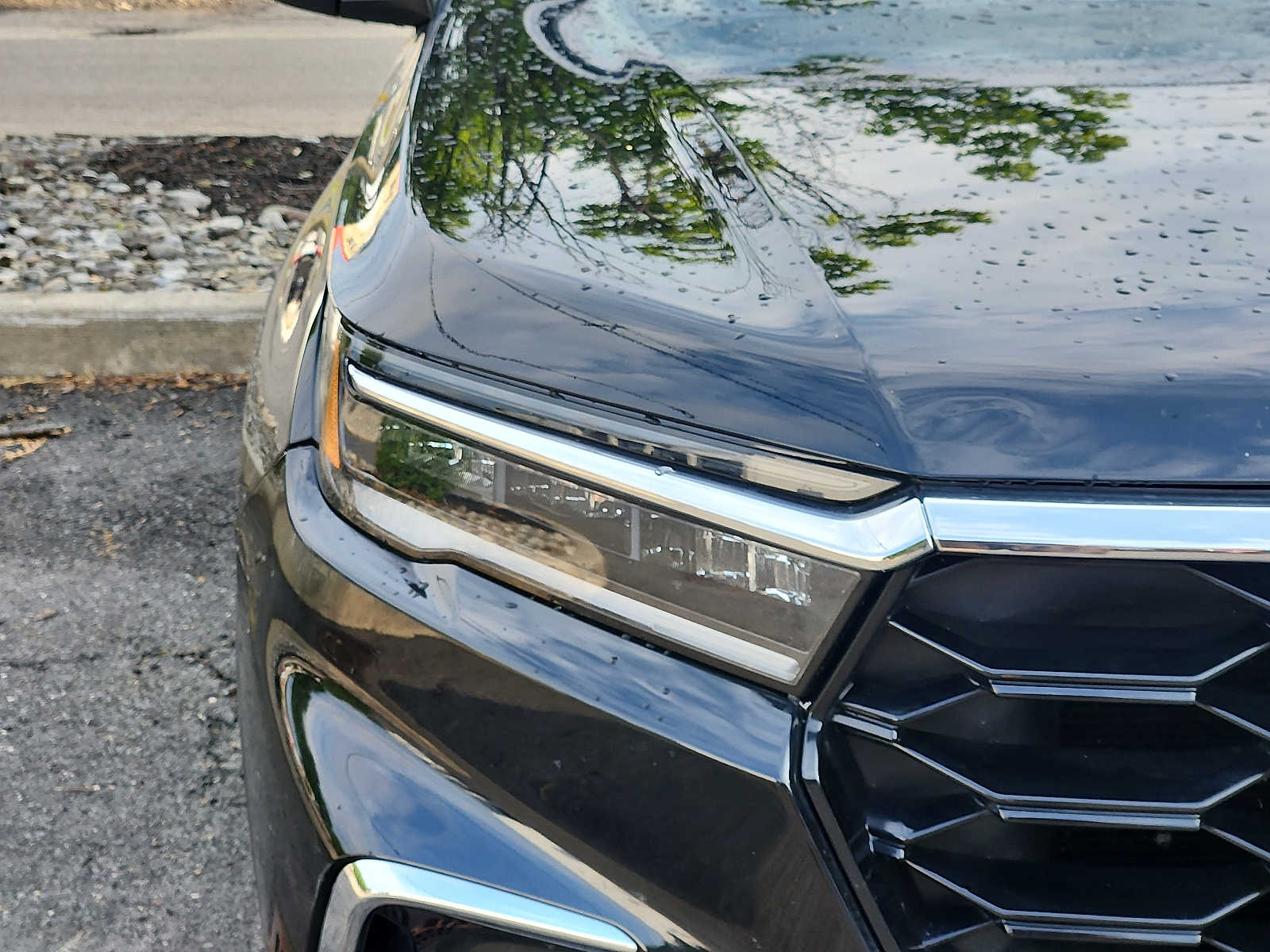 Used 2025 Honda Pilot SUV