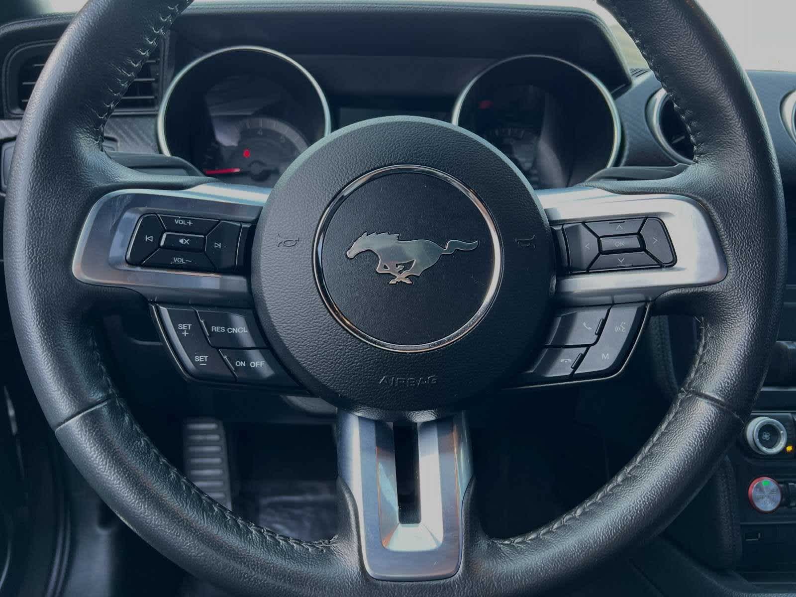 2021 Ford Mustang EcoBoost 22