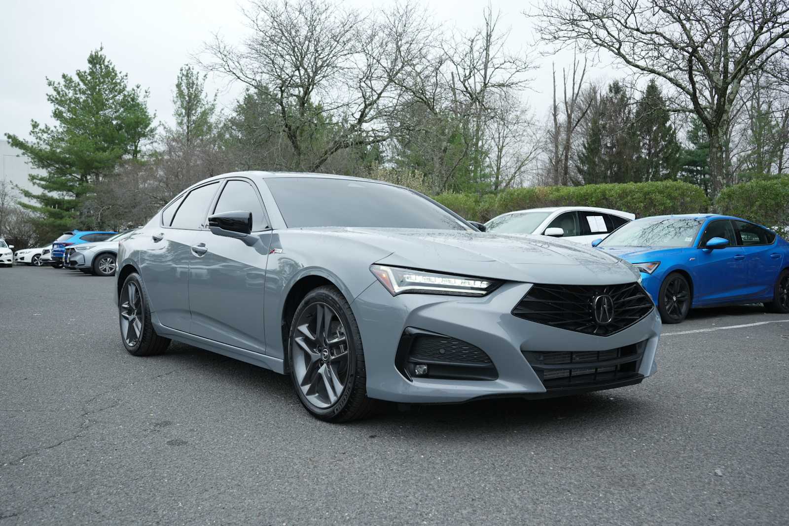 2025 Acura TLX
