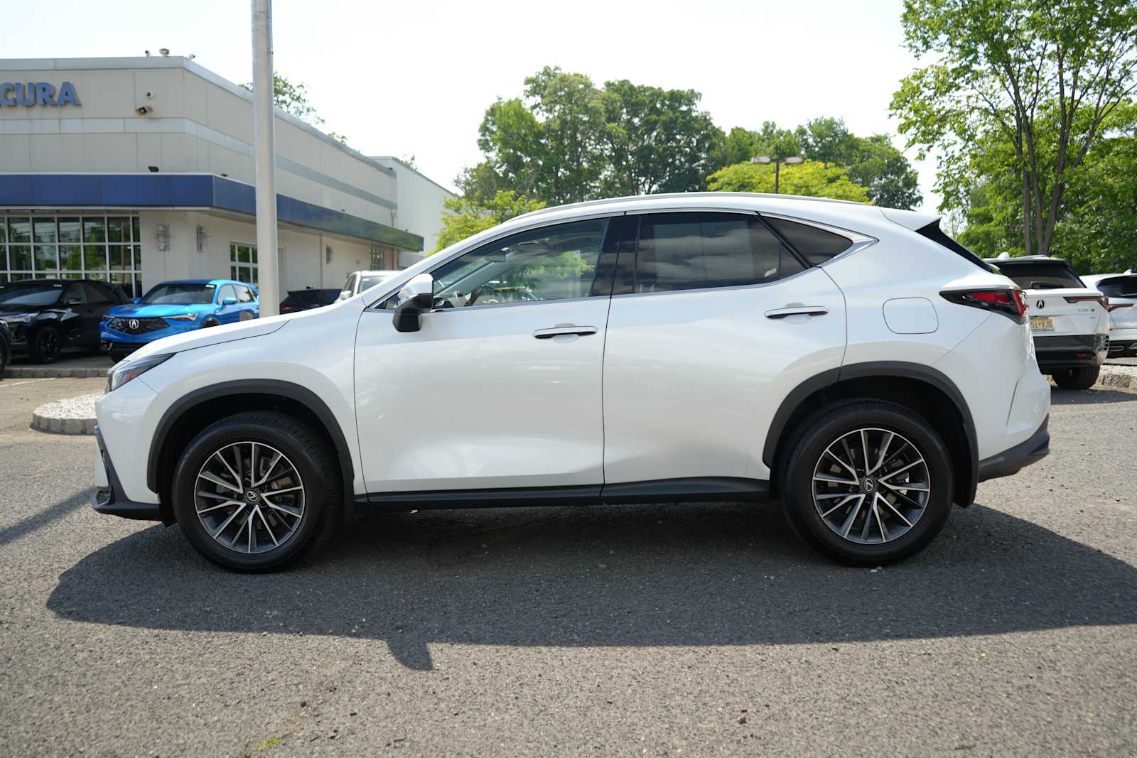 Used 2025 Lexus NX 350 SUV