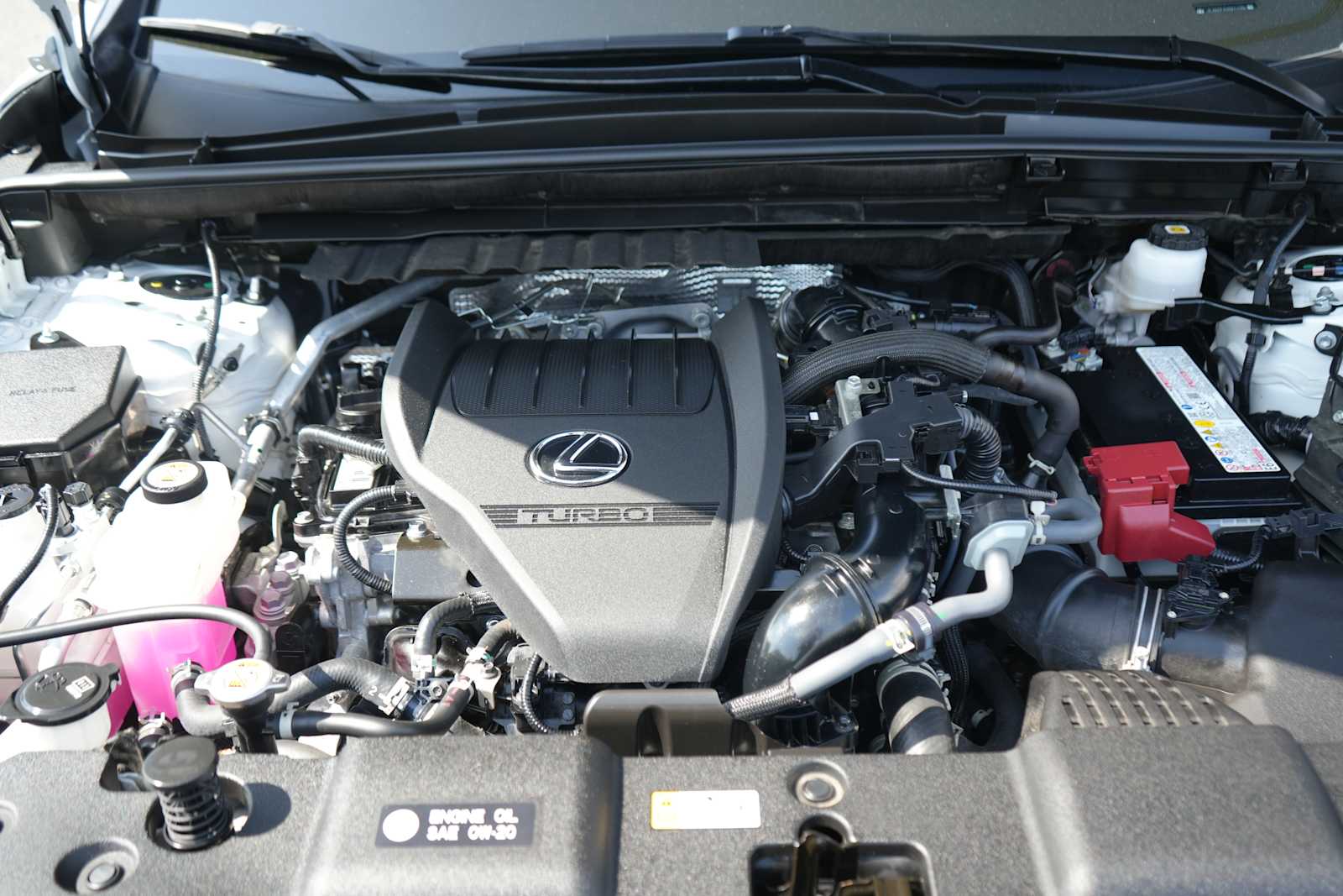 Used 2025 Lexus NX 350 SUV